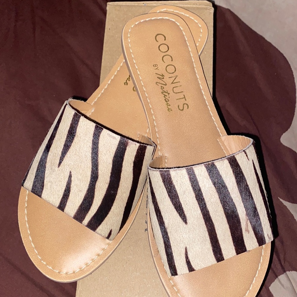 Brand new zebra slides